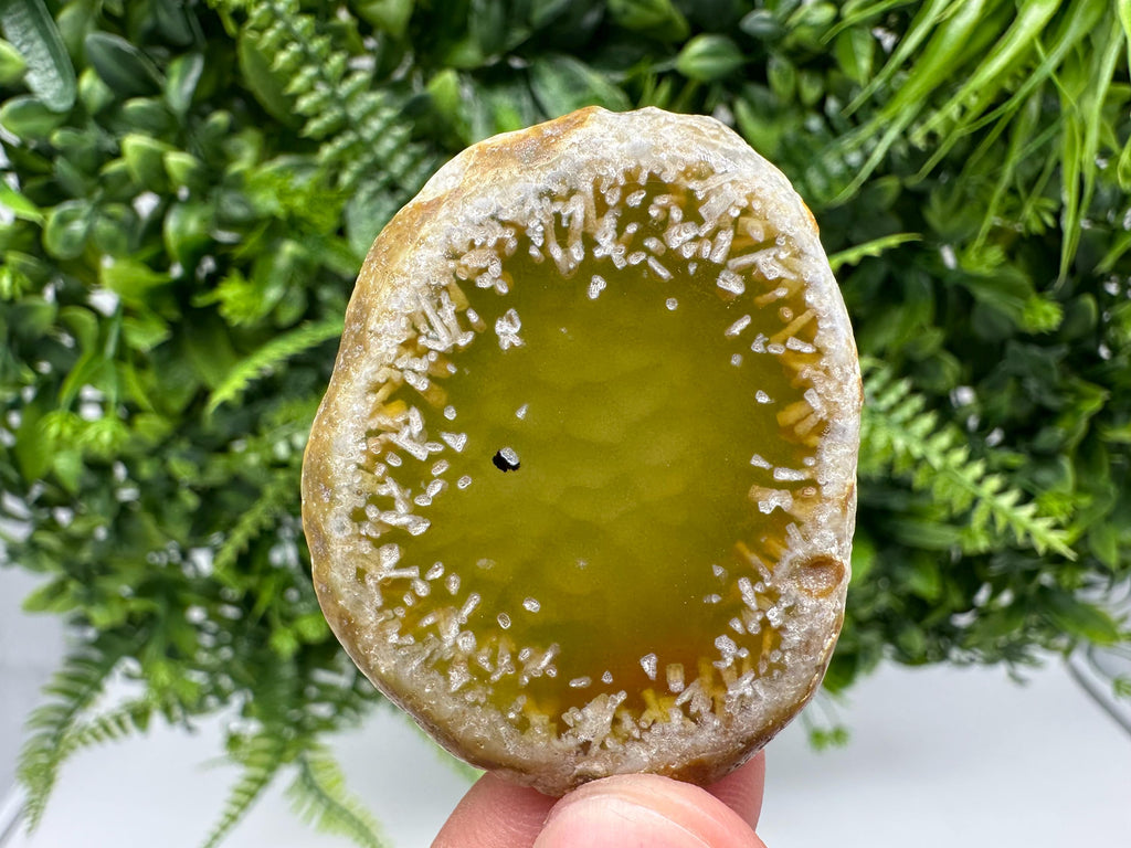 Agate Slice: Spiritual Healing Crystal Coaster Ornament