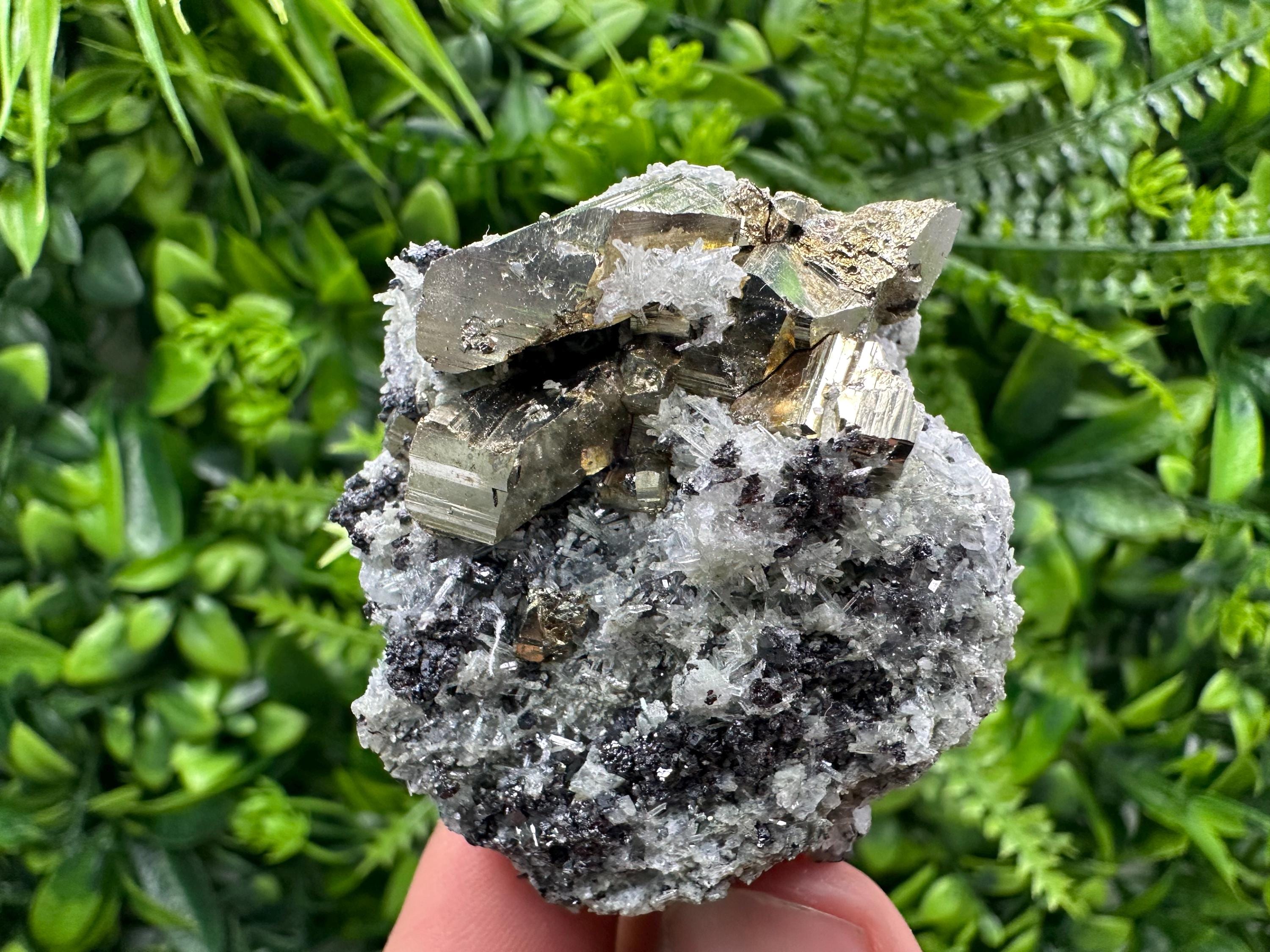 Sphalerite Pyrite on Quartz with Chlorite, Borieva Mine Mineral Specimen