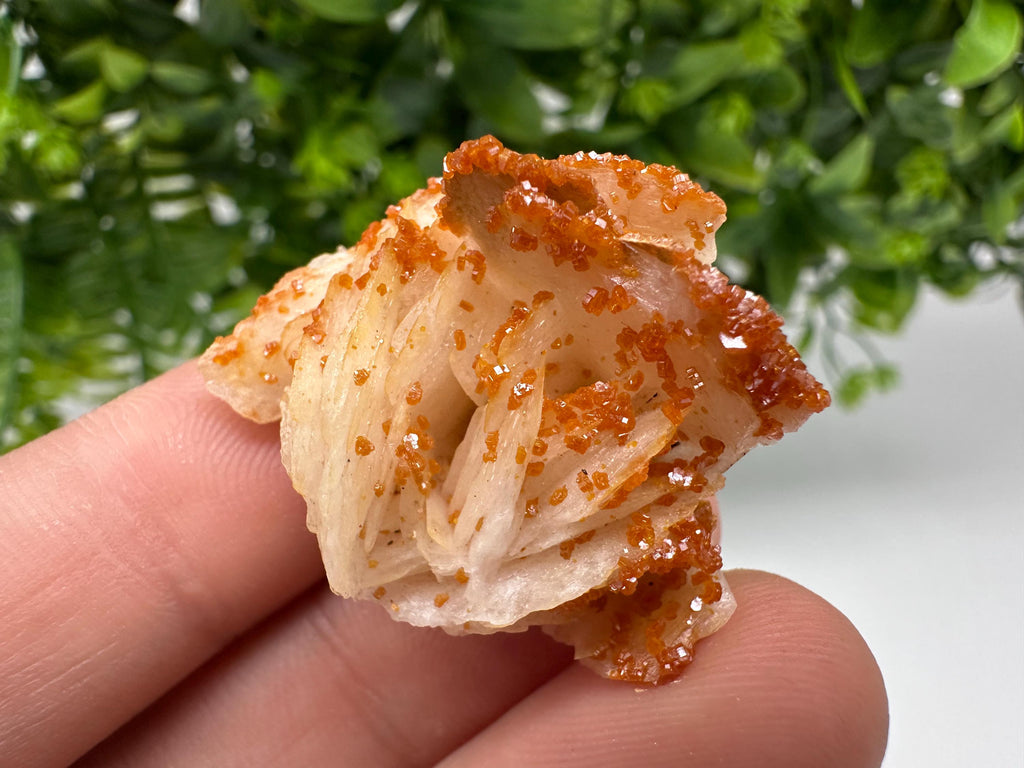 Red Vanadinite on Barite, Moroccan Crystal Cluster