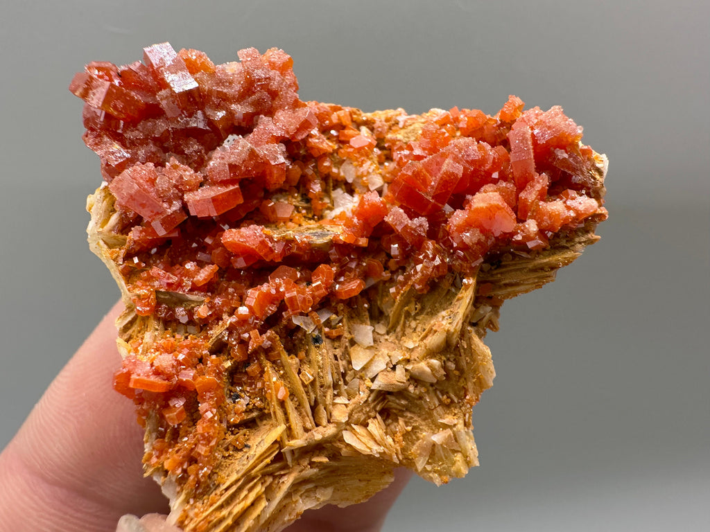 Red Vanadinite Crystal Cluster on Matrix, Morocco Mineral Specimen
