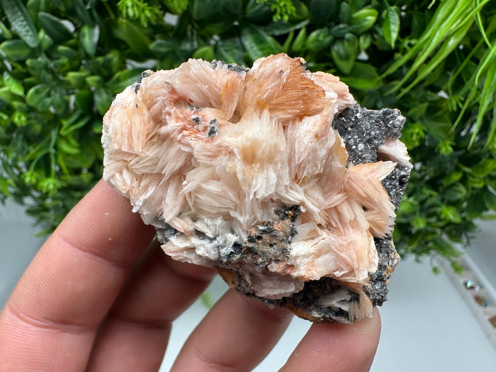 Wonderful Baryte with Cerussite on Galena from Morocco,Crystal, Mineral,Specimen,Cluster,Crystals,Barite Crystal,Cerussite Crystal,Specimen