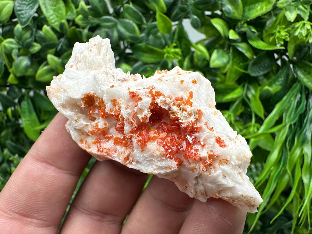 Red Vanadinite on Barite, Moroccan Crystal Mineral Specimen