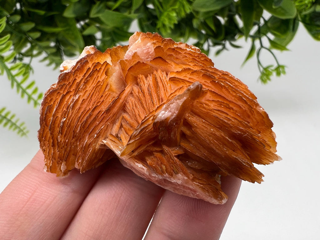 Wonderful Baryte with Cerussite on Galena from Morocco,Crystal, Mineral,Specimen,Cluster,Crystals,Barite Crystal,Cerussite Crystal,Specimen