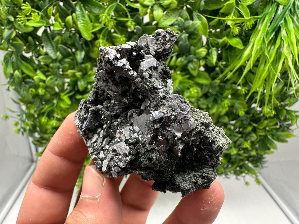 Quartz, Chlorite, Galena & Sphalerite Mineral Specimen: Borieva Mine