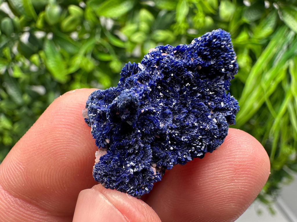 Crystallized Azurite-Kerrouchen,Morocco-Blue Azurite Specimen-High Quality Blue Azurite-Azurite Mineral Specimen, gemmy,lustrous of Azurite