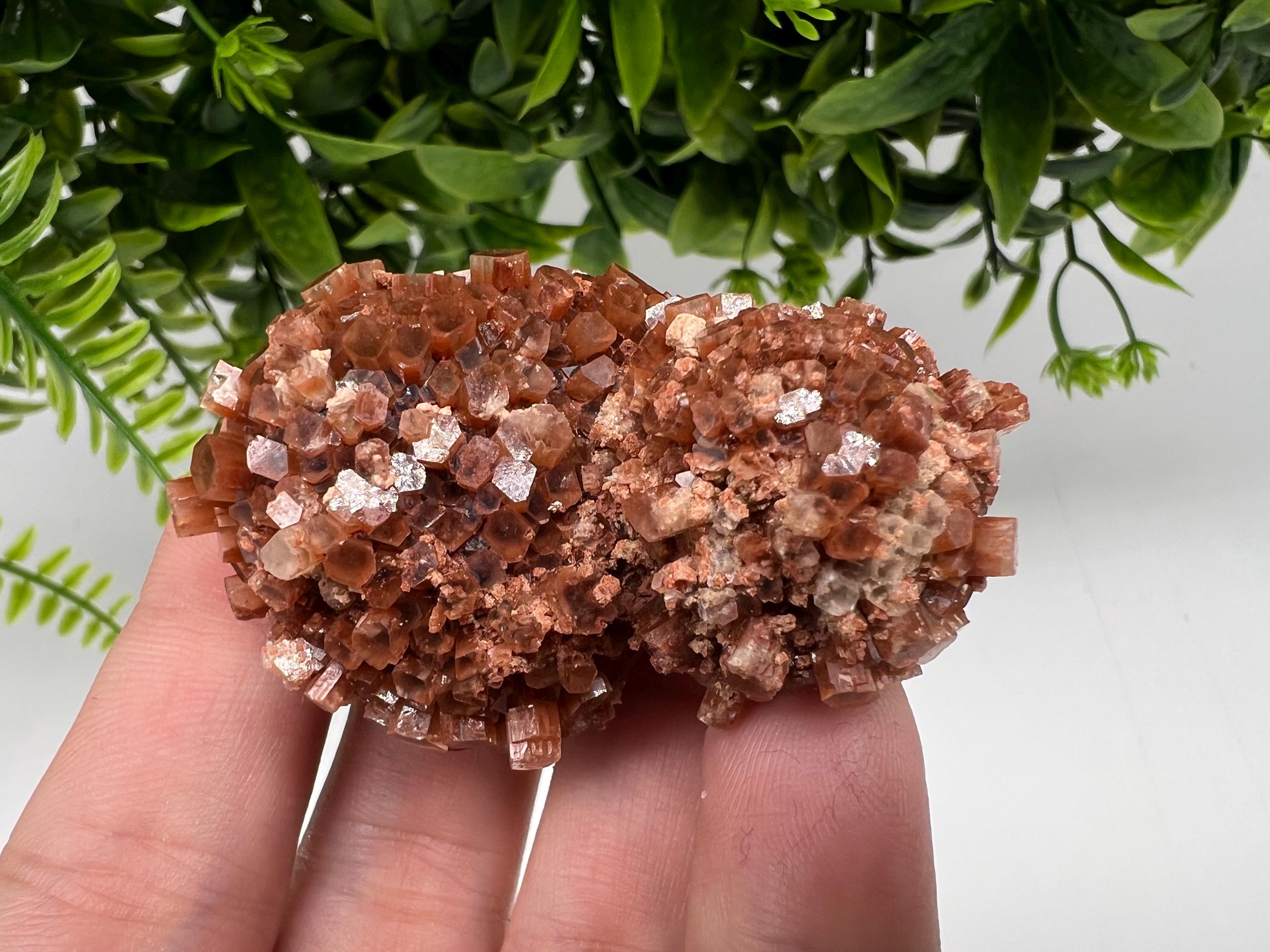 Large Aragonite Sputnik Cluster: Raw Moroccan Crystal Stone