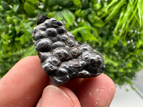 Botryoidal Black Hematite Specimen: Chakra Reiki Crystal