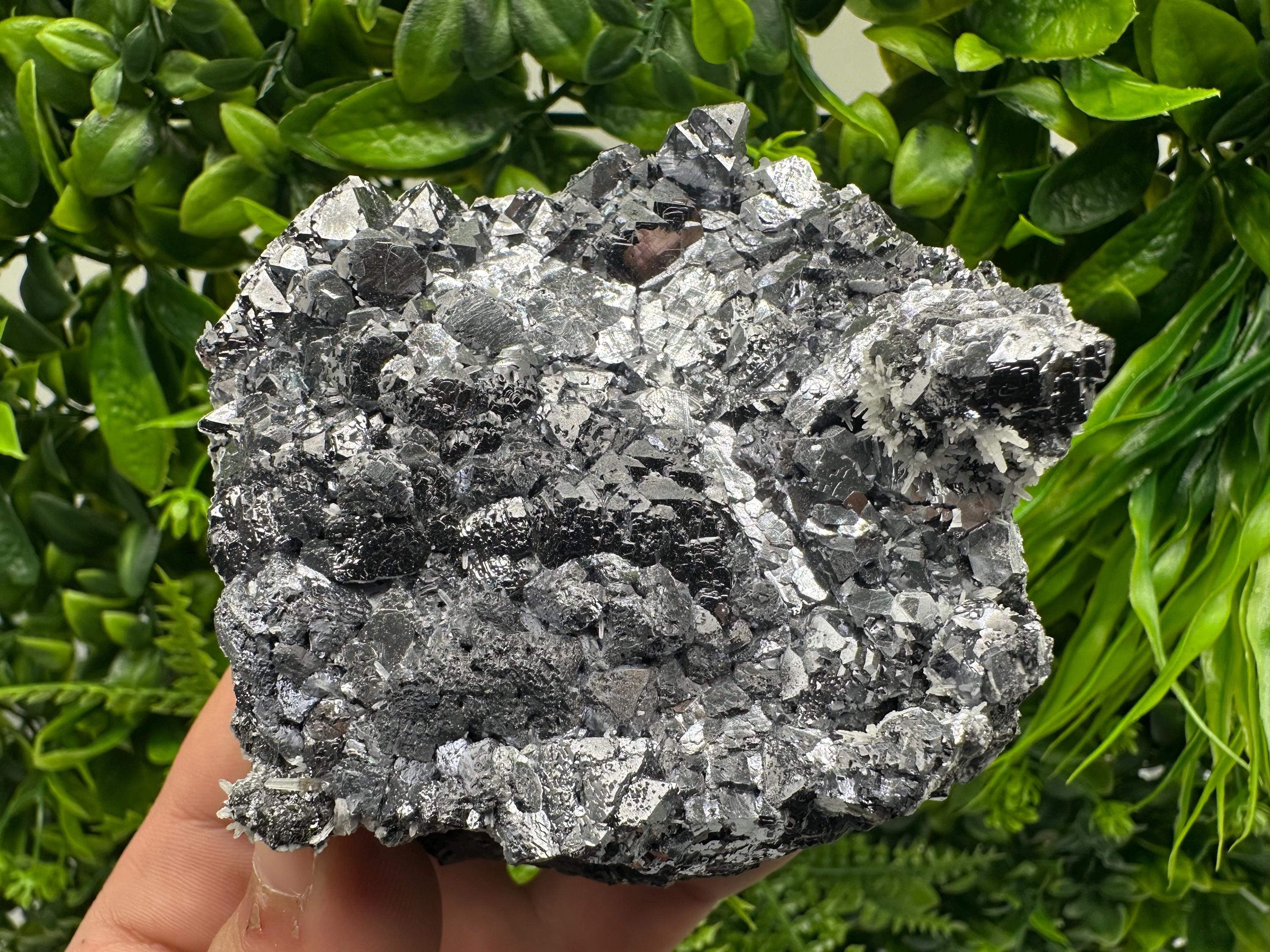 Galena with Quartz Mineral Specimen, Krushev dol Mine, Bulgaria