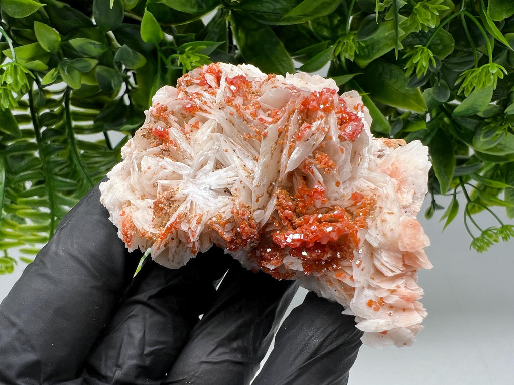 Red Vanadinite on Barite from Marocco,crystal minerals Speciment cluster Vanadinite crystal Vanadinite Geology Vanadinite cluster minerals