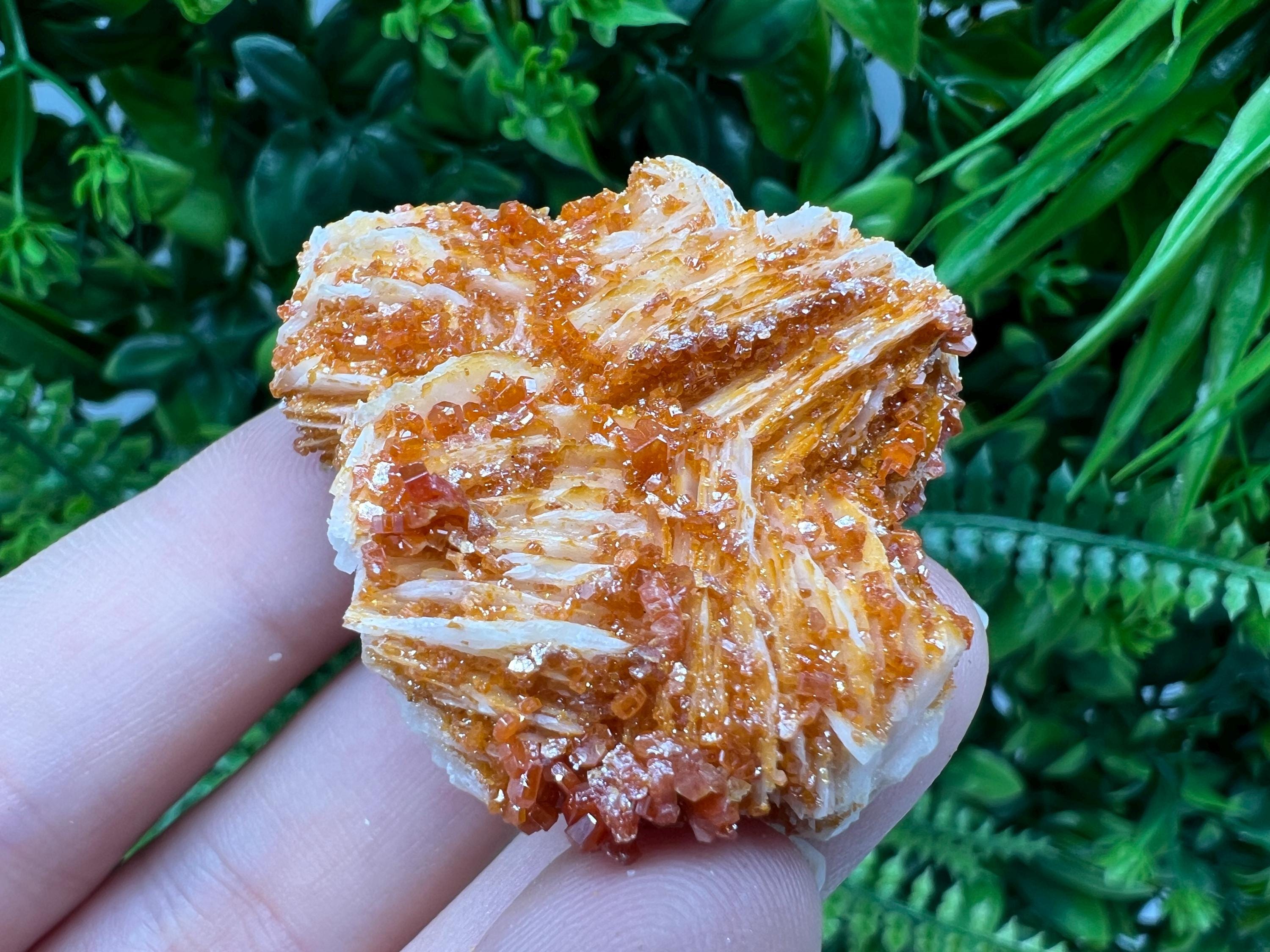 Red Vanadinite on Barite from Marocco,crystal minerals Speciment cluster Vanadinite crystal Vanadinite Geology Vanadinite cluster minerals