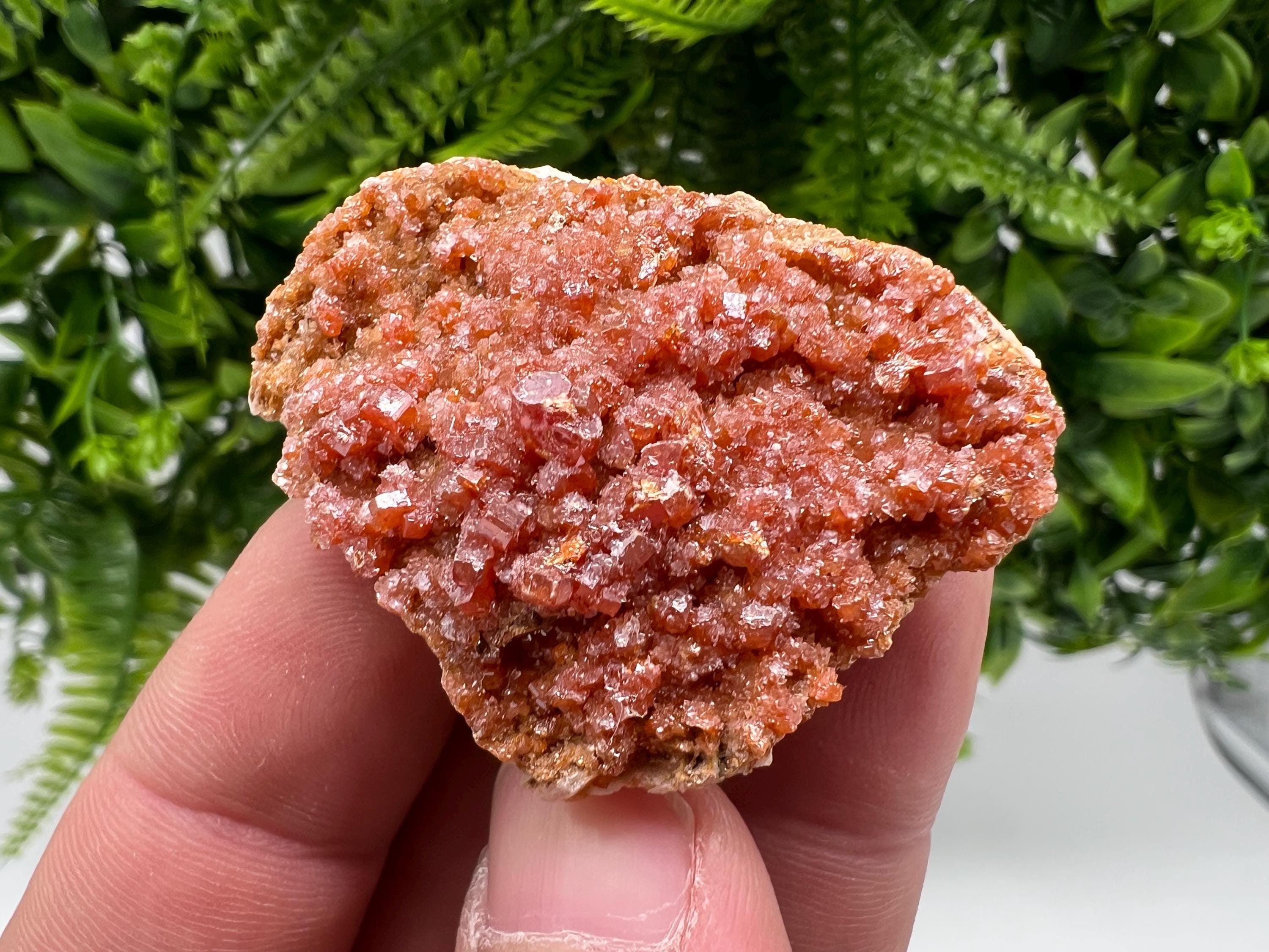 Red Vanadinite on Barite from Marocco,crystal minerals Speciment cluster Vanadinite crystal Vanadinite Geology Vanadinite cluster minerals