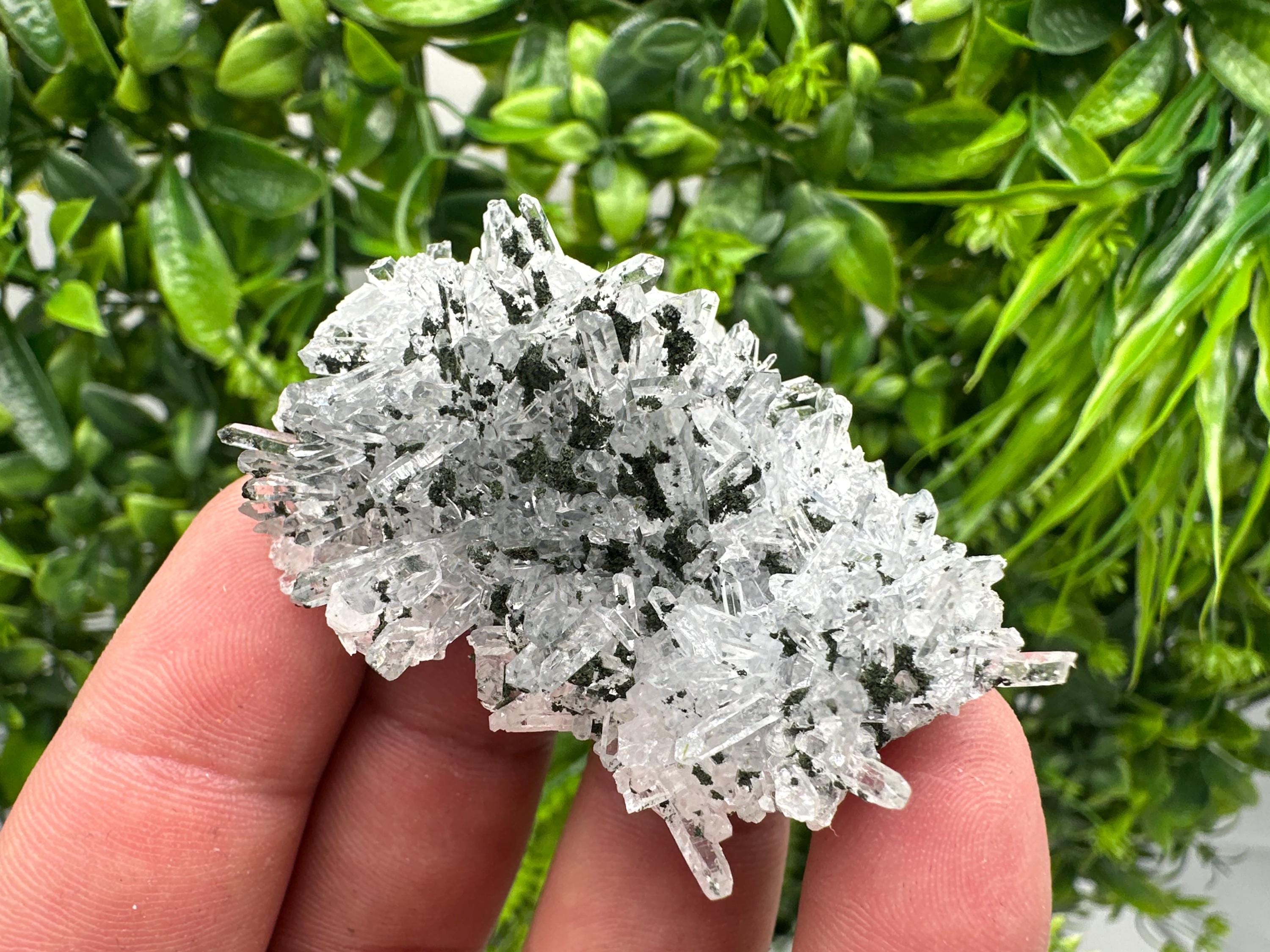 Chlorite Quartz Crystal Cluster - Borieva Mine, Bulgaria