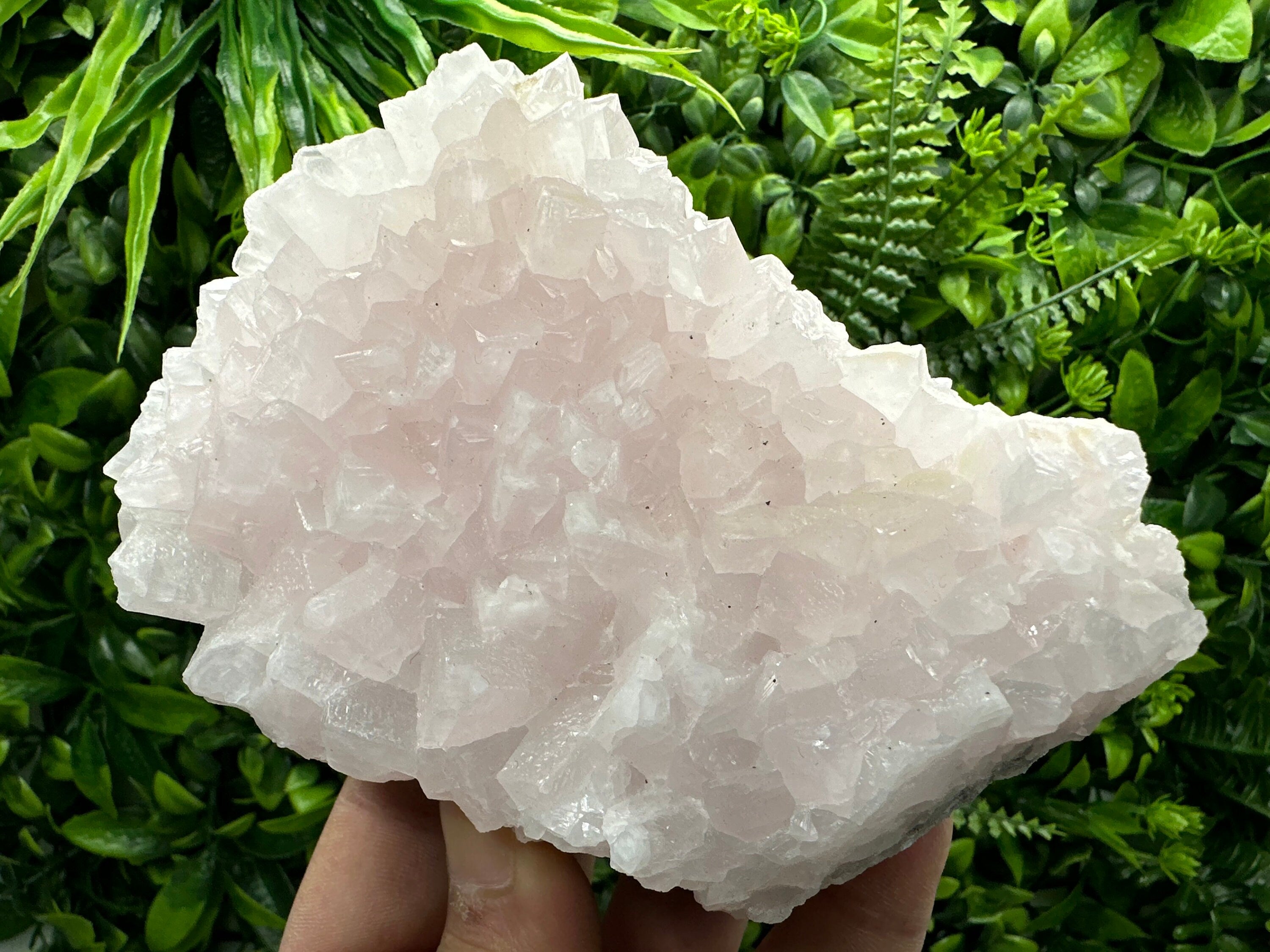 UV Reactive Mangano Calcite, Androvo Mine Bulgaria, Mineral Specimen