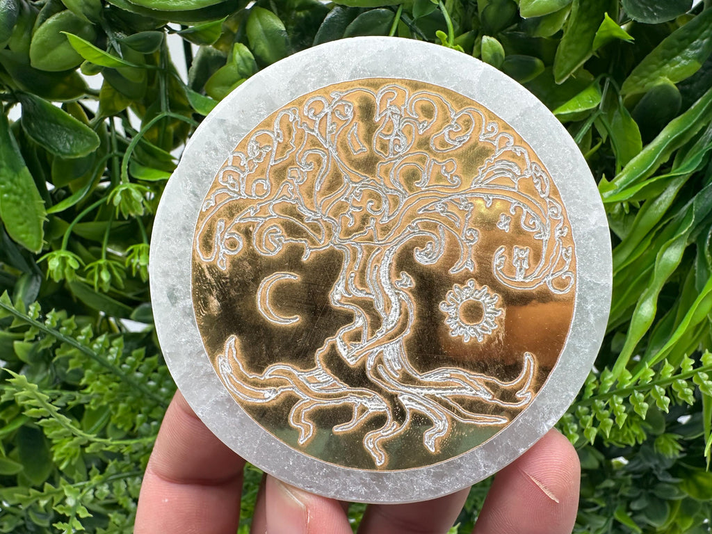 Tree of Life Selenite Plate: Crystal Recharging Station (8/8cm)