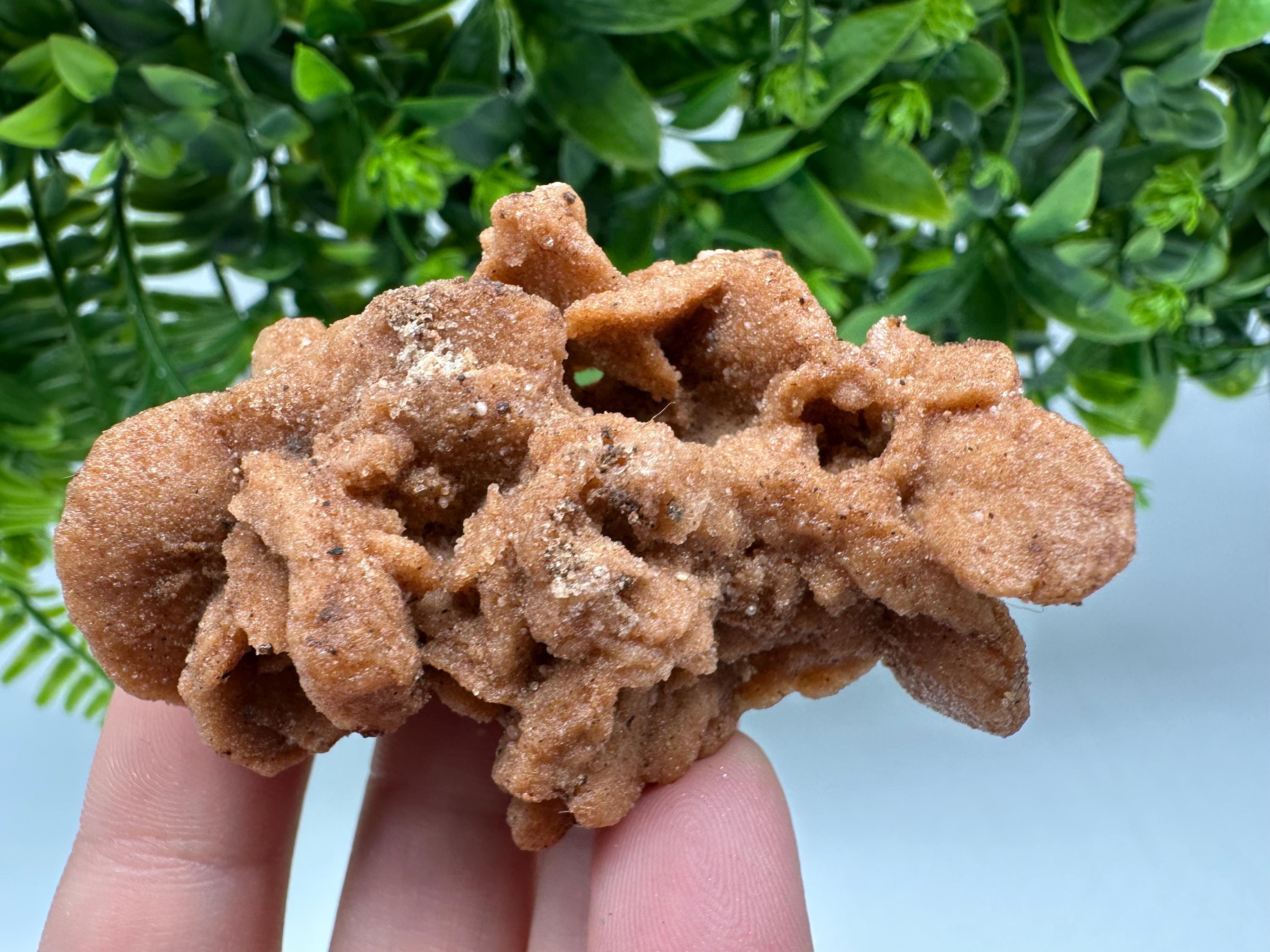 Natural Desert Rose Crystal - Root Chakra Healing Selenite Stone