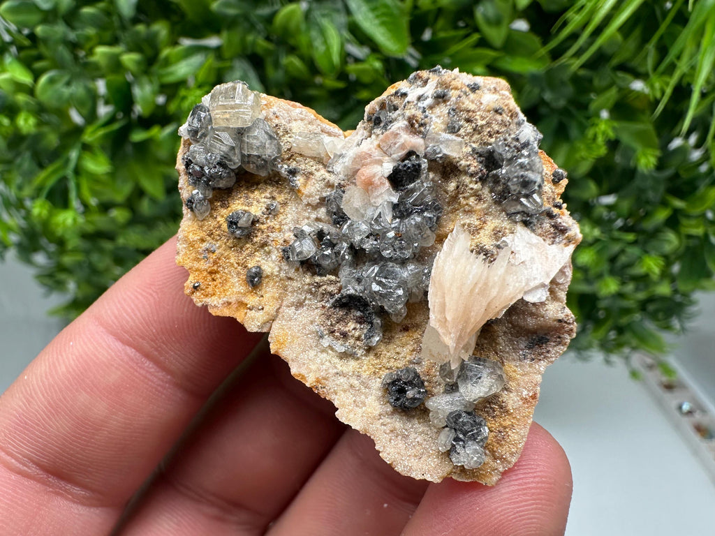 Wonderful Baryte with Cerussite on Galena from Morocco,Crystal, Mineral,Specimen,Cluster,Crystals,Barite Crystal,Cerussite Crystal,Specimen