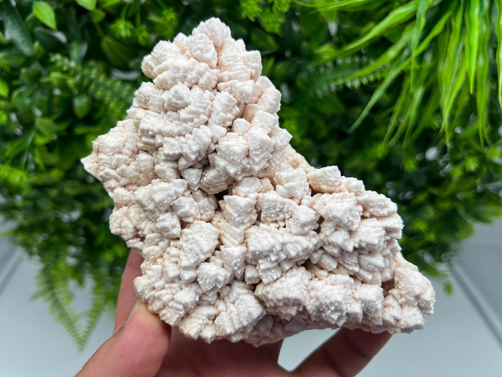 Pink Manganocalcite Mineral Specimen, Krushev dol Mine, Bulgaria
