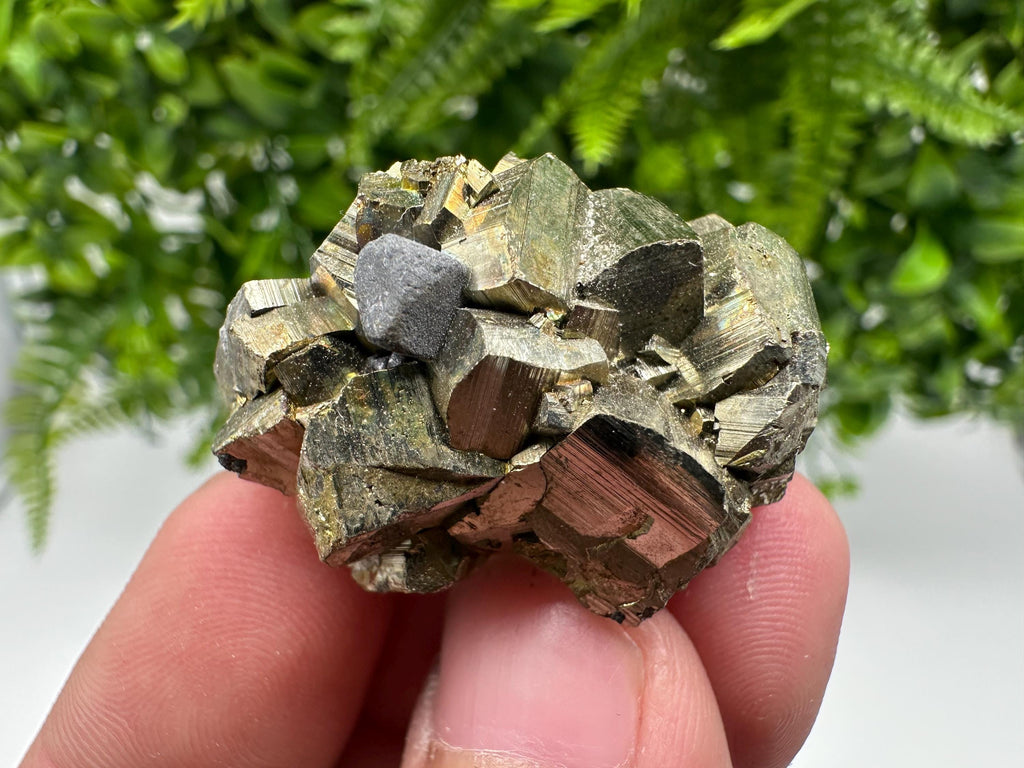 Rare crystallisation Pyrite,Borieva mine,Bulgaria,floating Pyrite,golden Pyrite,Pyrite cluster,mini Collection specimen,Rainbow Pyrite