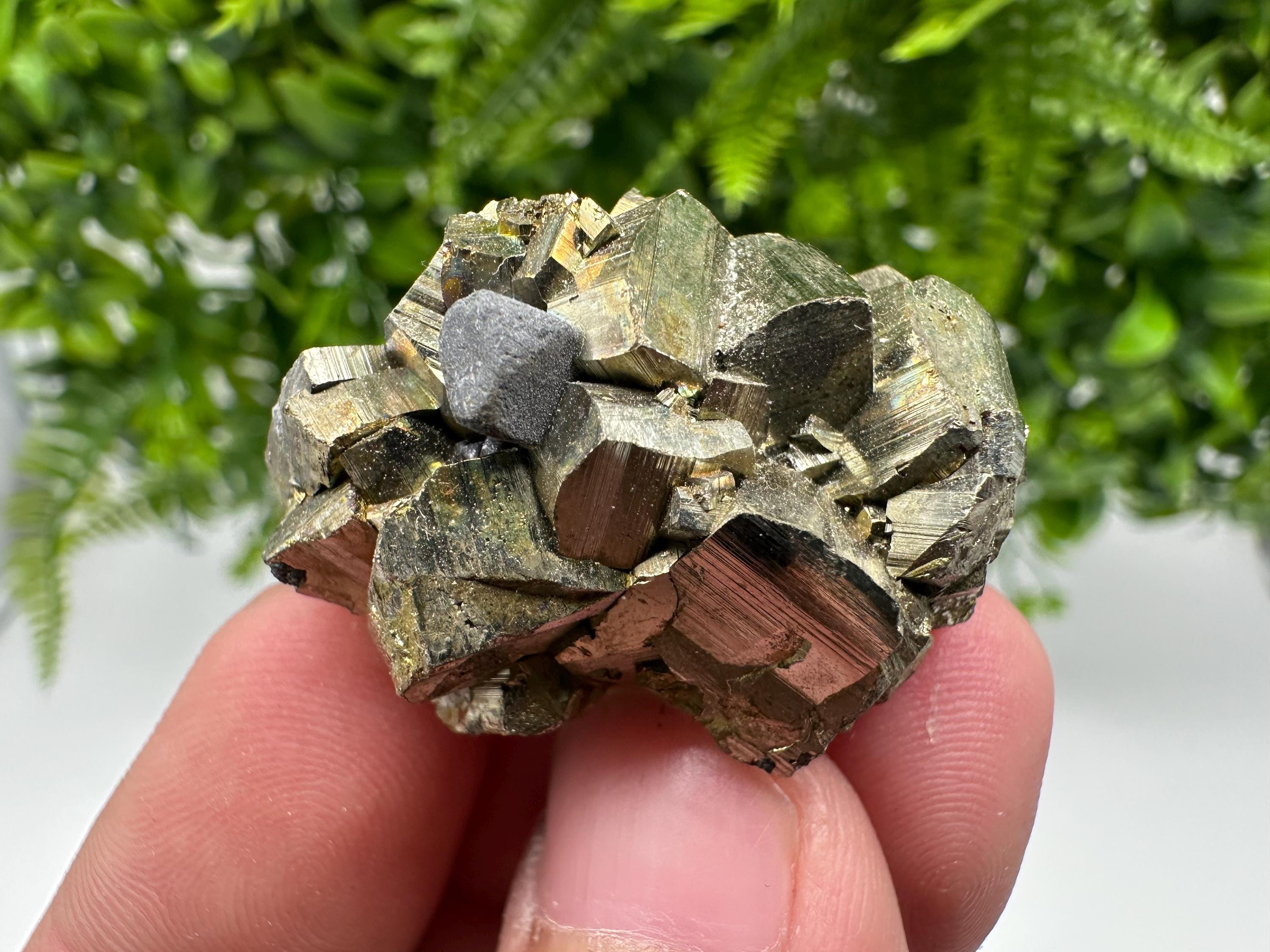 Rare crystallisation Pyrite,Borieva mine,Bulgaria,floating Pyrite,golden Pyrite,Pyrite cluster,mini Collection specimen,Rainbow Pyrite