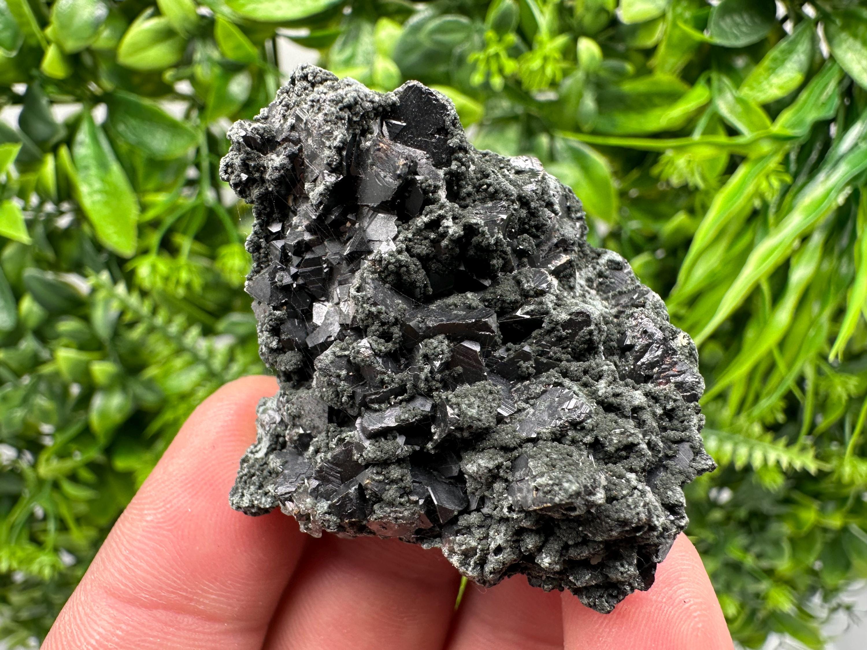 Sphalerite Galena with Chlorite Mineral Specimen, Bulgaria