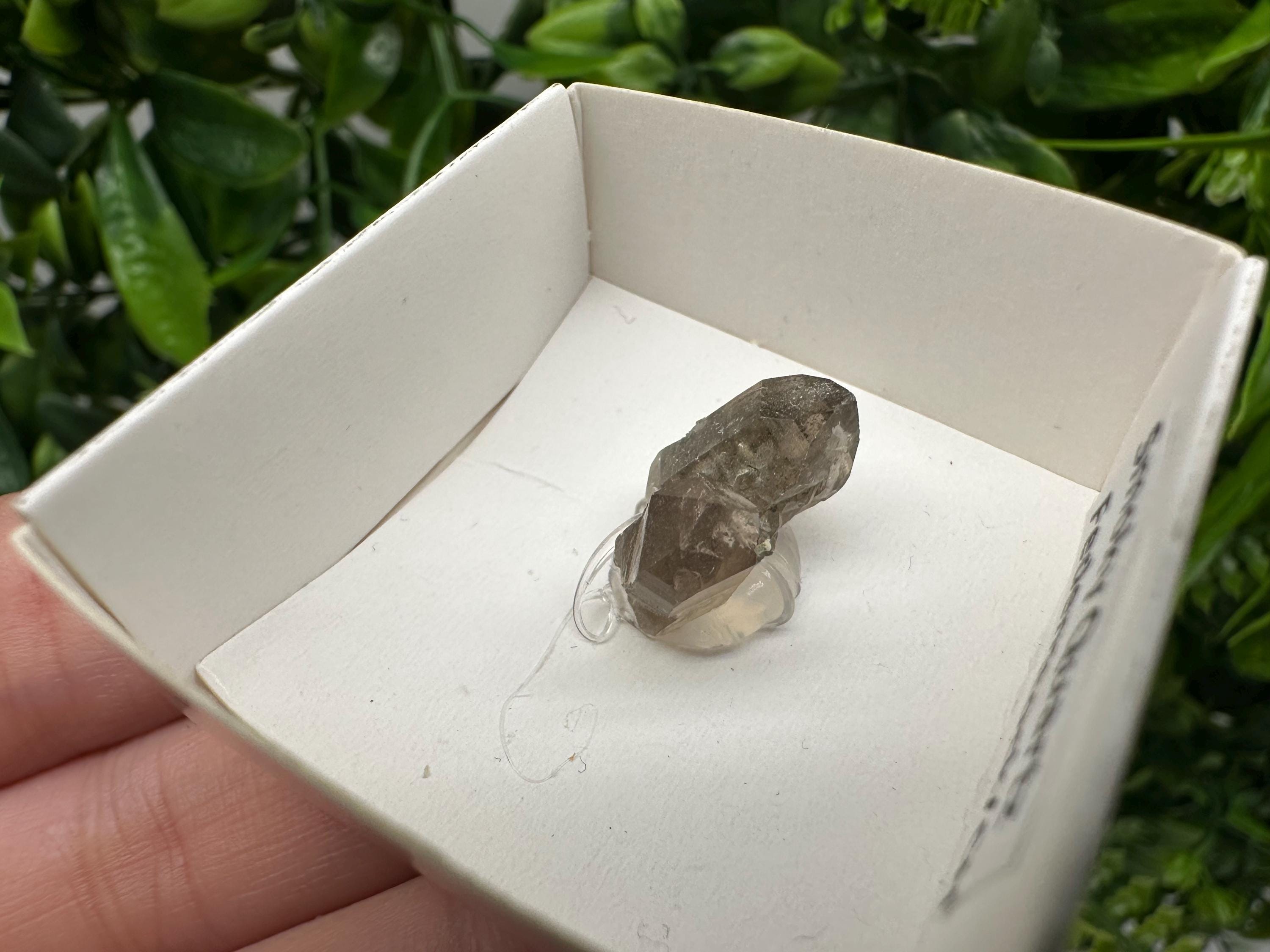 Rare Fedenstock Smoky Quartz Mineral Specimen (17 MM)