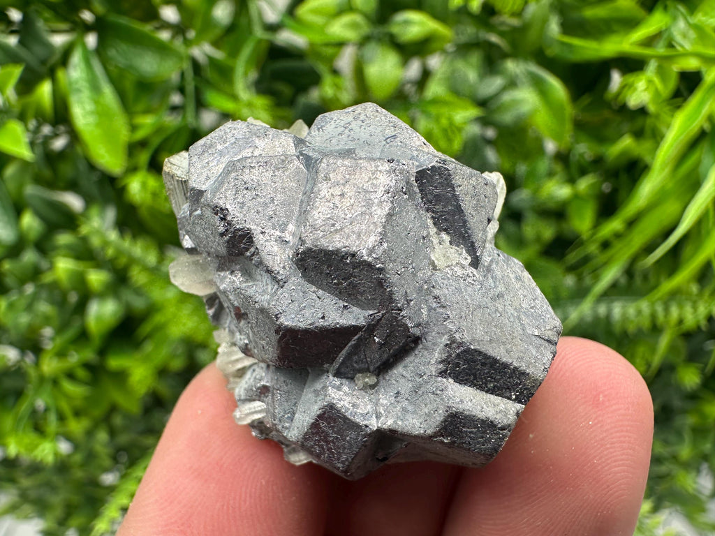 Galena on Pyrite Mineral Specimen, Borieva Mine, Bulgaria