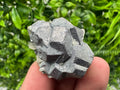 Galena on Pyrite Mineral Specimen, Borieva Mine, Bulgaria