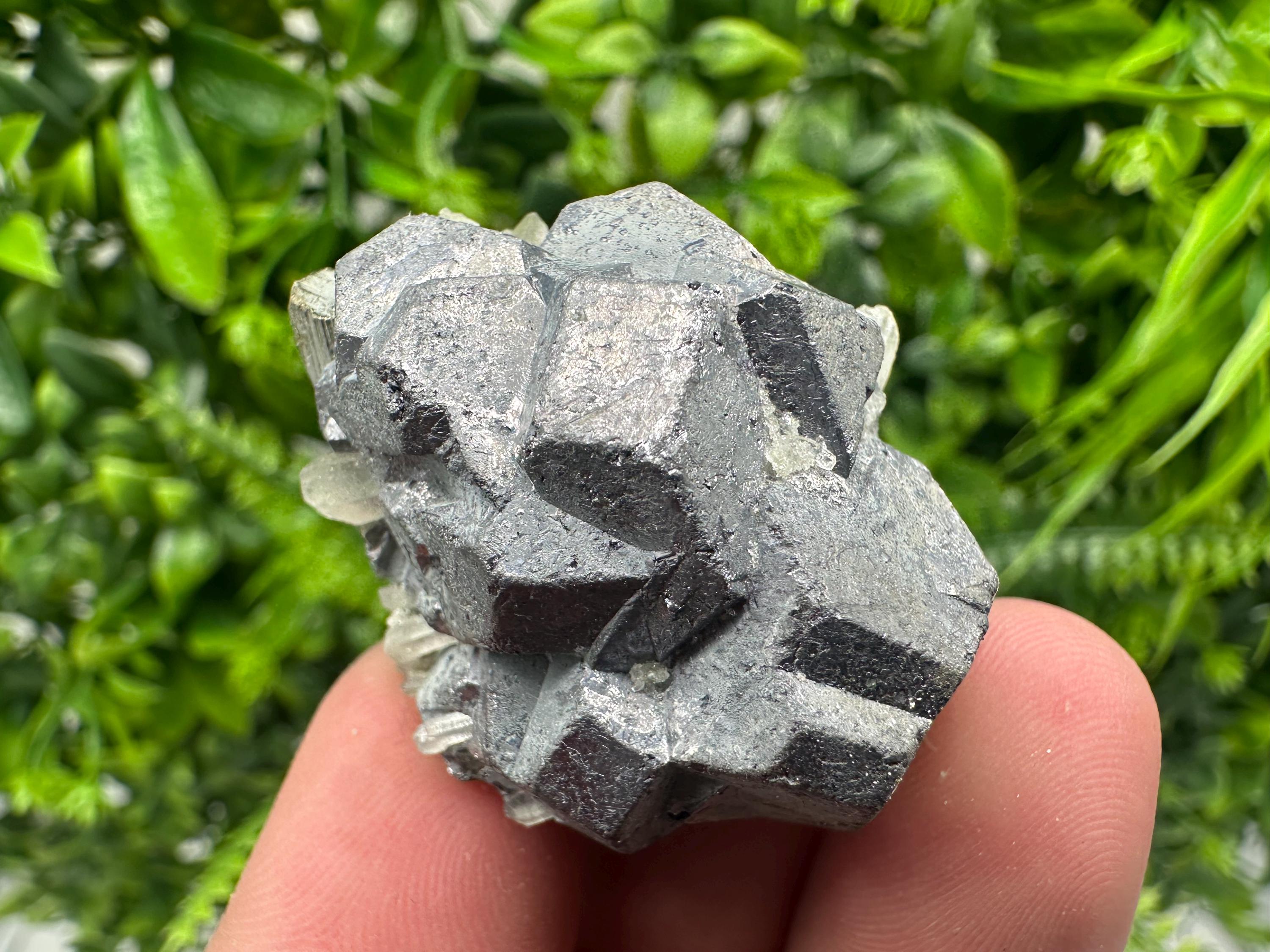 Galena on Pyrite Mineral Specimen, Borieva Mine, Bulgaria