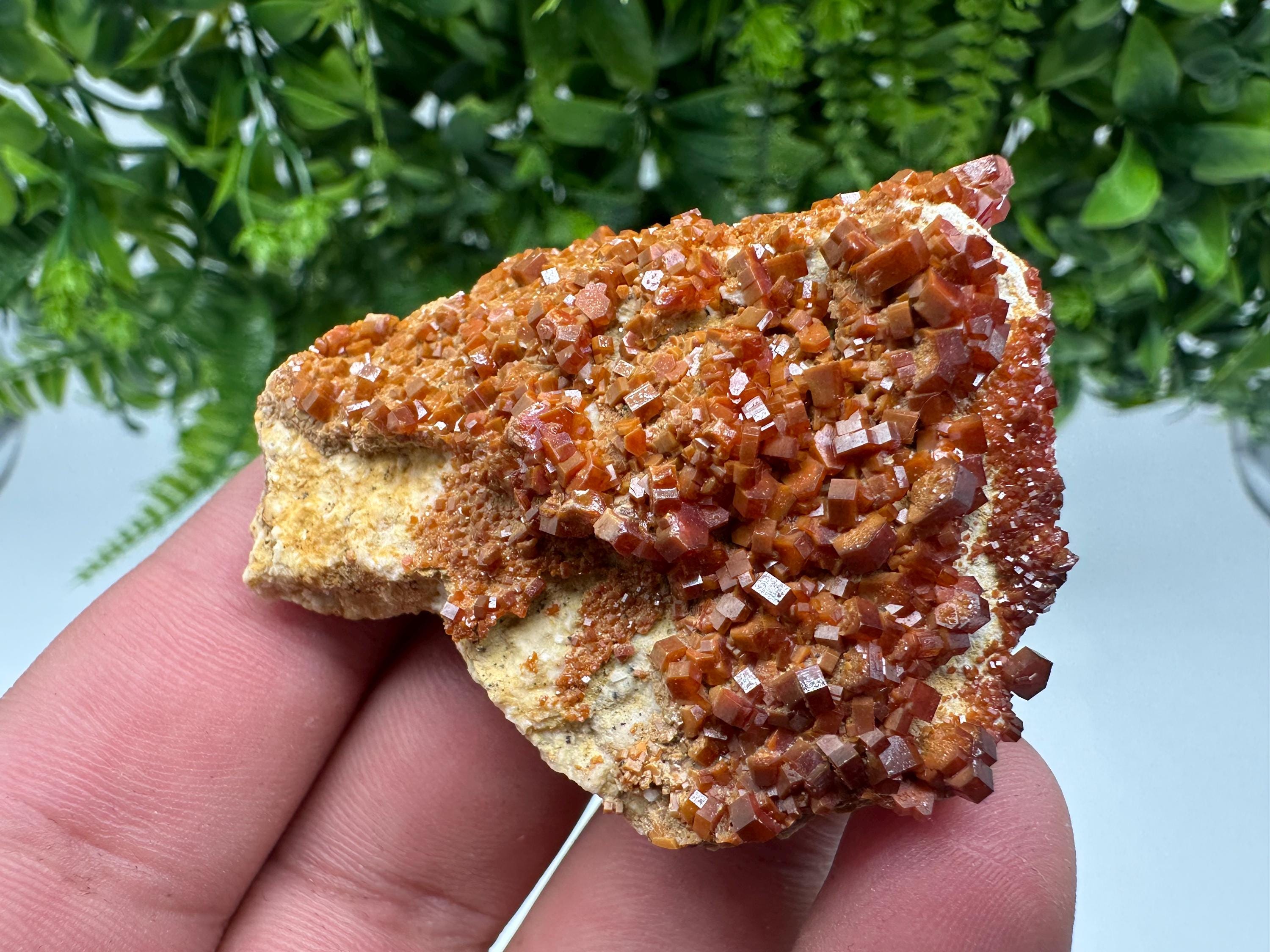 Red Vanadinite on Barite, Moroccan Crystal Mineral Specimen