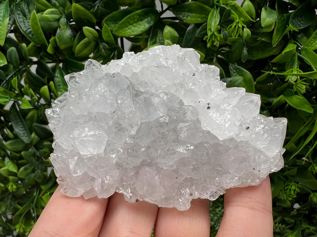 Transparent Quartz on Chlorite Matrix, Borieva Mine, Bulgaria