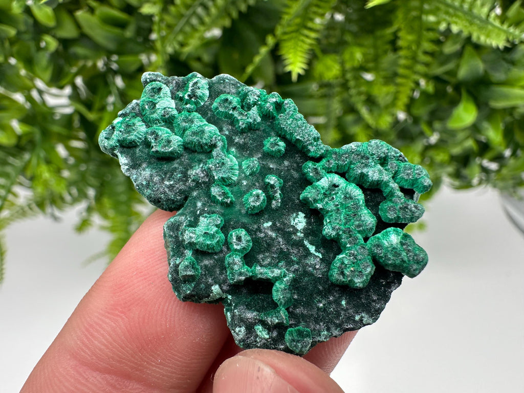 Green Malachite Crystal Specimen: Congo Minerals, Chakra Stone