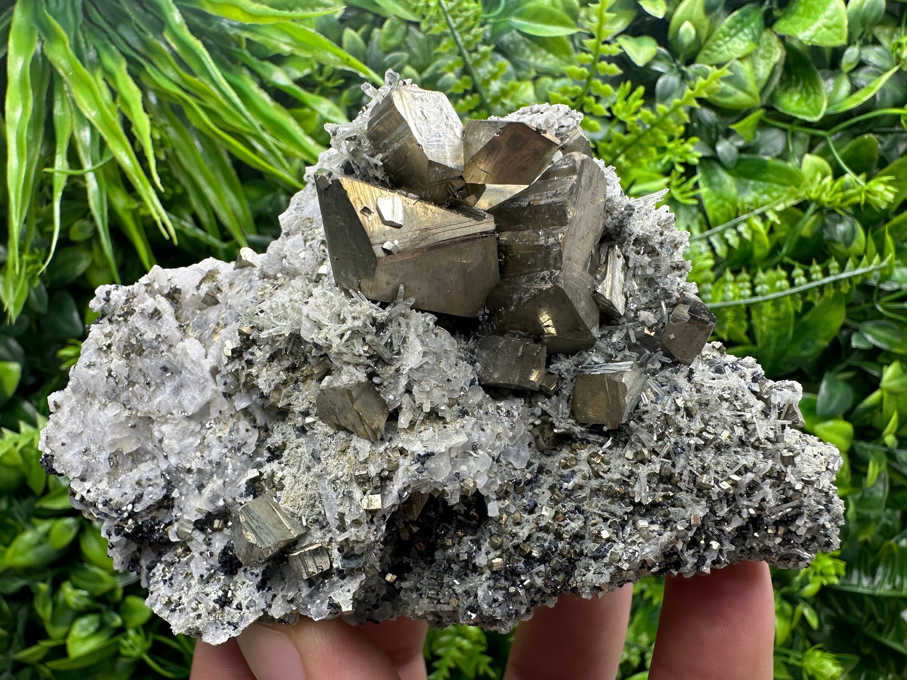 Crystallized Pyrite on Quartz, Madan Bulgaria, Home Decor