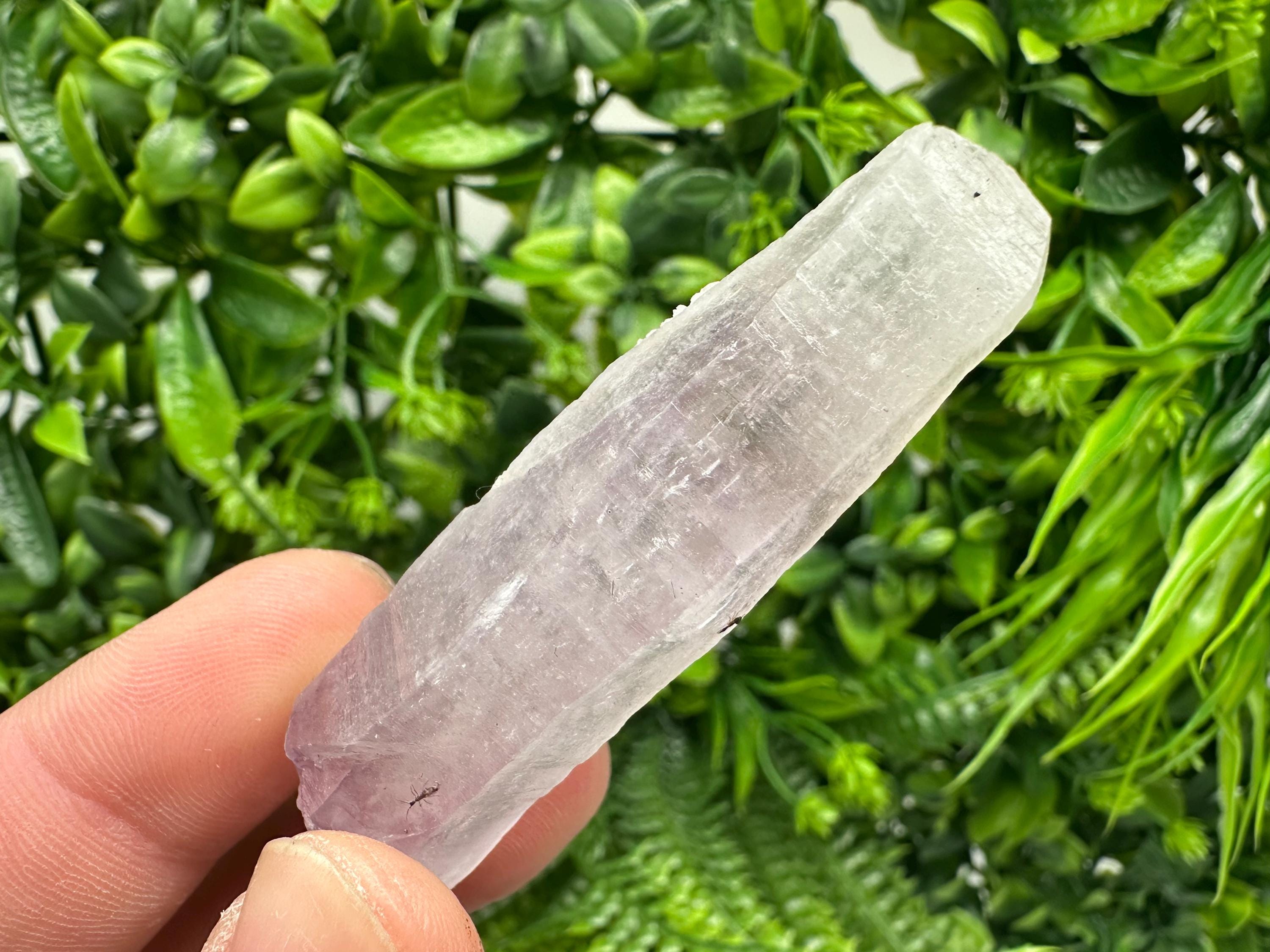 Amethyst Phantom Quartz Crystal with Chalcedony and Chlorite