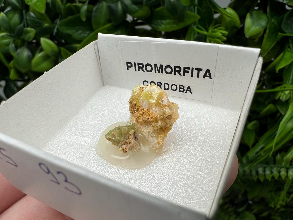 Pyromorphite Stone / Pyromorphite on Matrix / Pyromorphite Crystal / Raw Crystal / Pyromorphite Cluster / Rough Pyromorphite / Pyromorphite