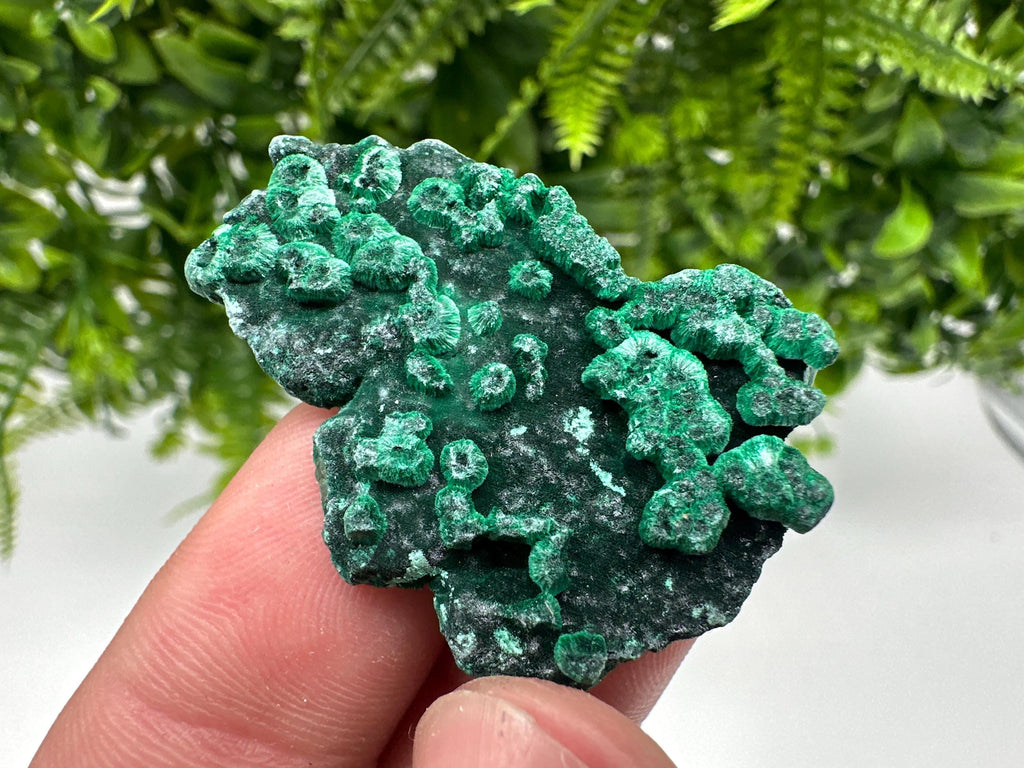 Green Malachite Crystal Specimen: Congo Minerals, Chakra Stone