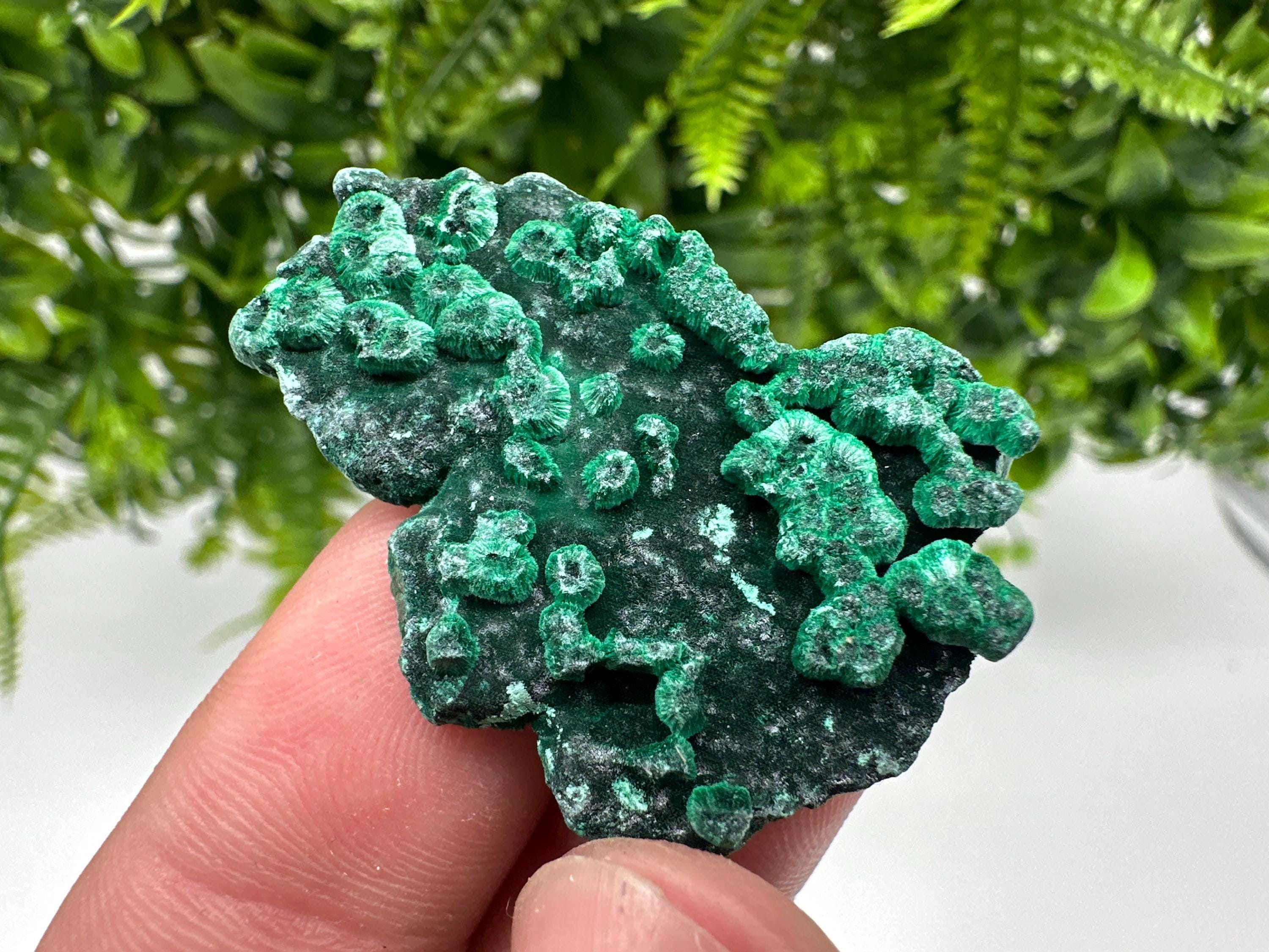 Green Malachite Crystal Specimen: Congo Minerals, Chakra Stone