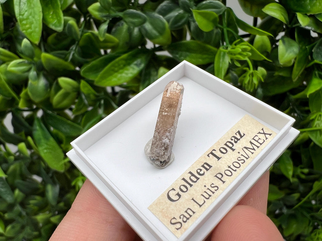 Beautiful Golden Topaz from Mexico,collection piece Crystal,Mineral,collectibles,Collectors, Natural Crystal, Minerals from Mexico,original,
