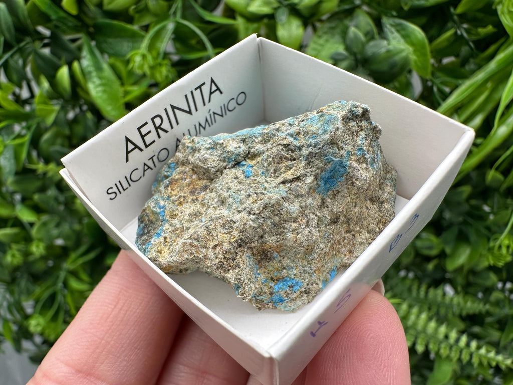 Rare Raw Aerinite Mineral Specimen: Lleida, Spain Crystal