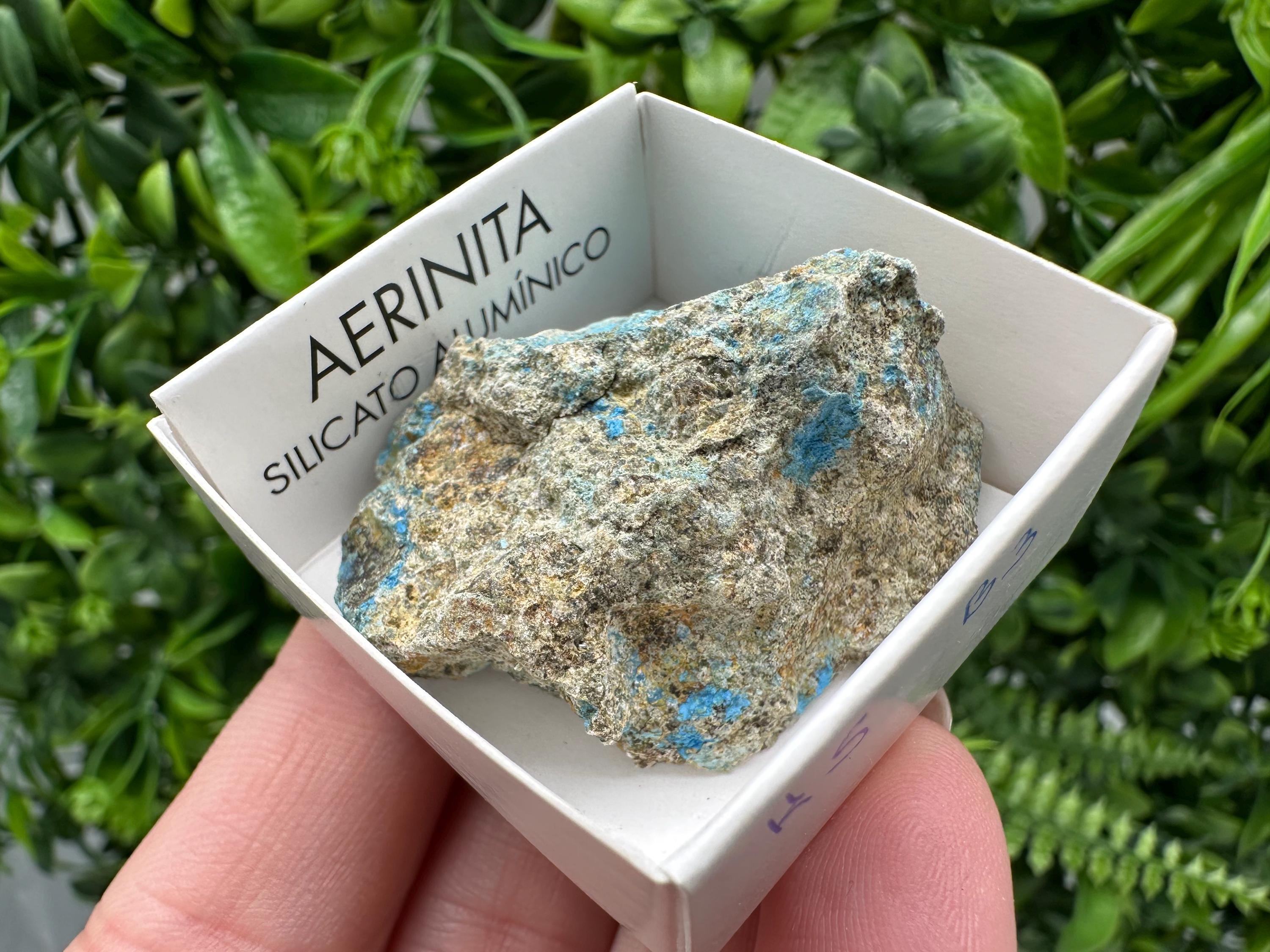 Rare Raw Aerinite Mineral Specimen: Lleida, Spain Crystal