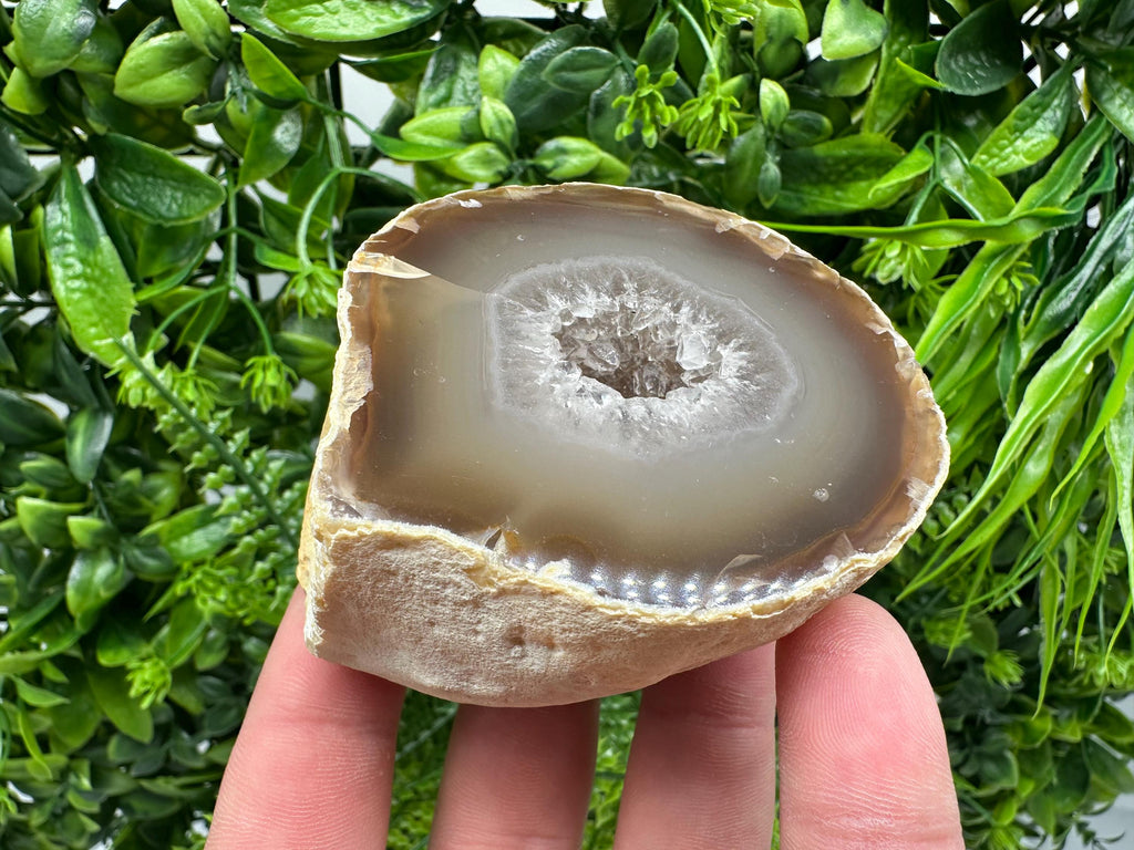 Natural Agate Druzy Geode: Quartz Crystal, 264 grams
