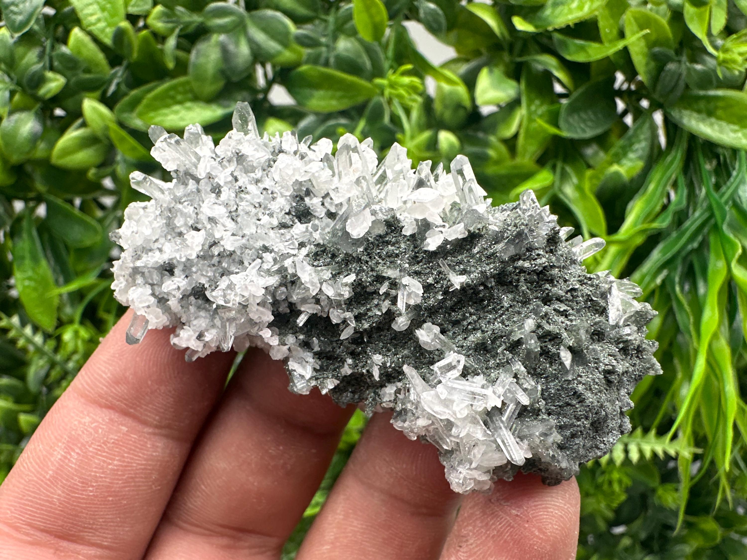 Transparent Quartz on Chlorite Matrix, Borieva Mine Mineral Specimen