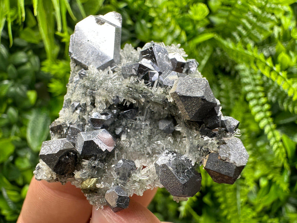 Skeletal Galena on Quartz, Borieva Mine Mineral Specimen