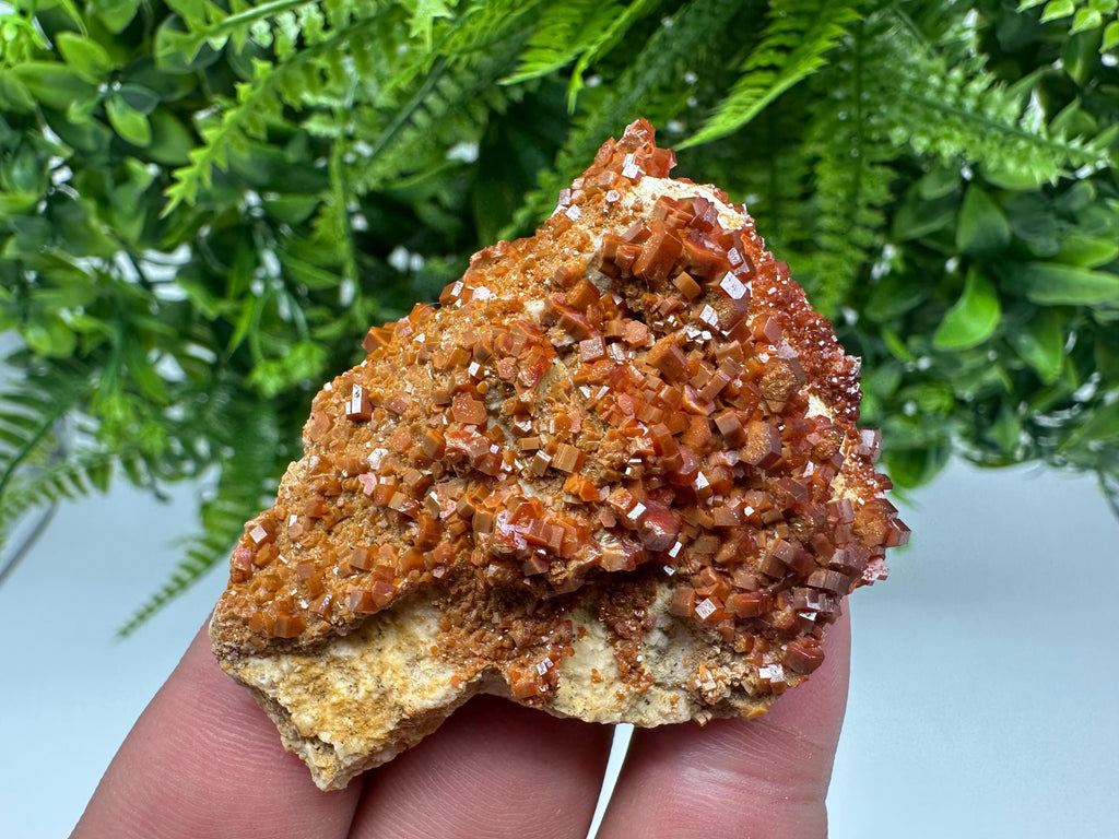 Red Vanadinite on Barite, Moroccan Crystal Mineral Specimen