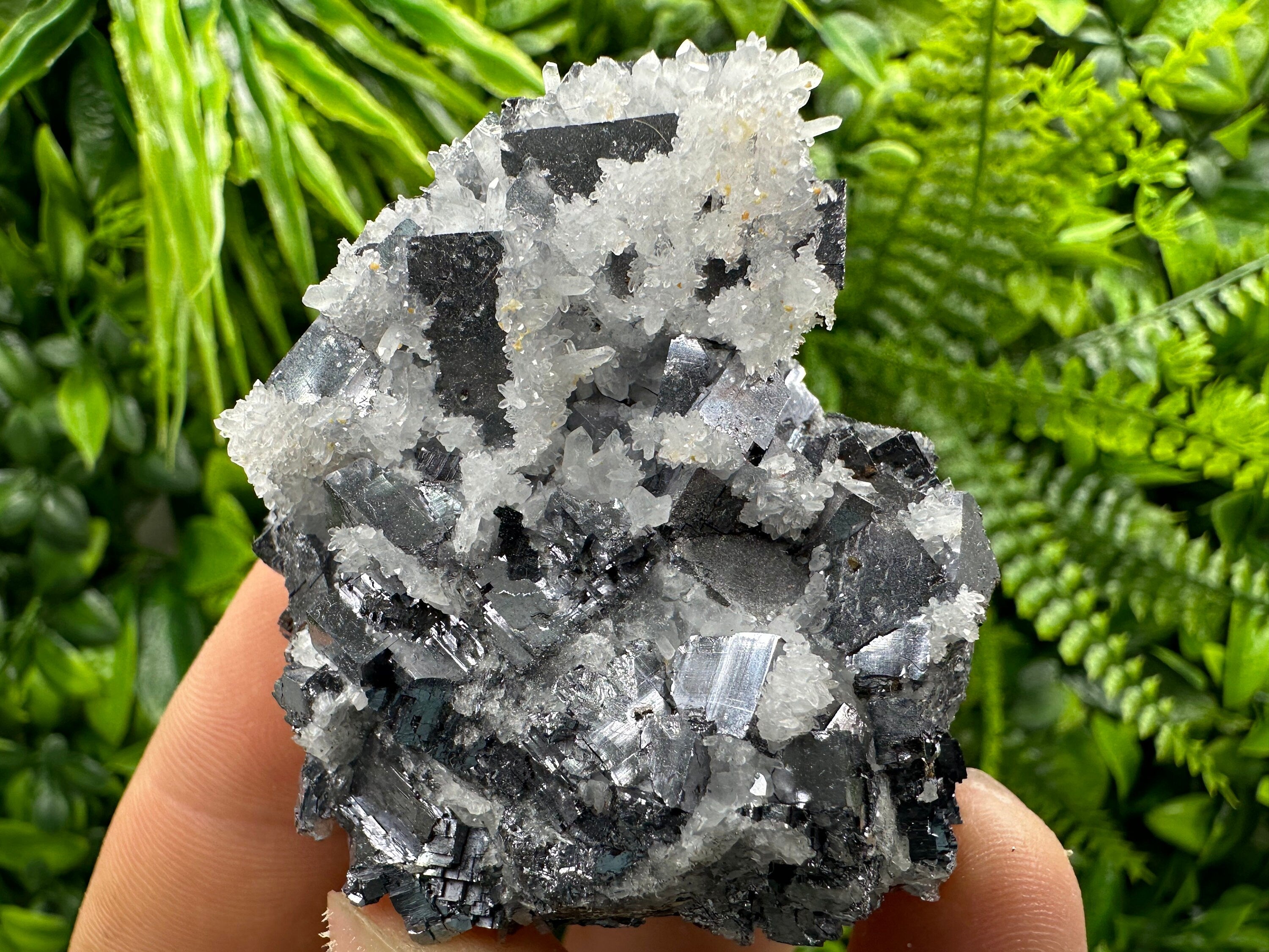 Galena with Quartz Crystal: Natural Mineral Specimen, Bulgaria