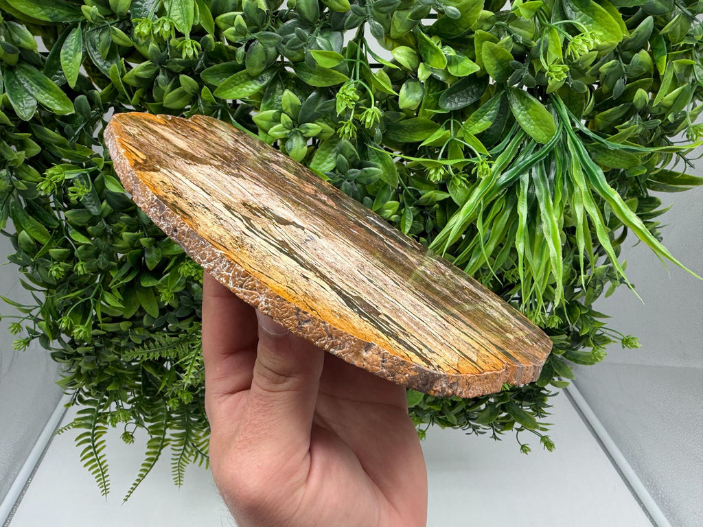 Polished Landscape Jasper Slab – Natural Scenic Stone Slice, Grounding Decor (21x17cm)