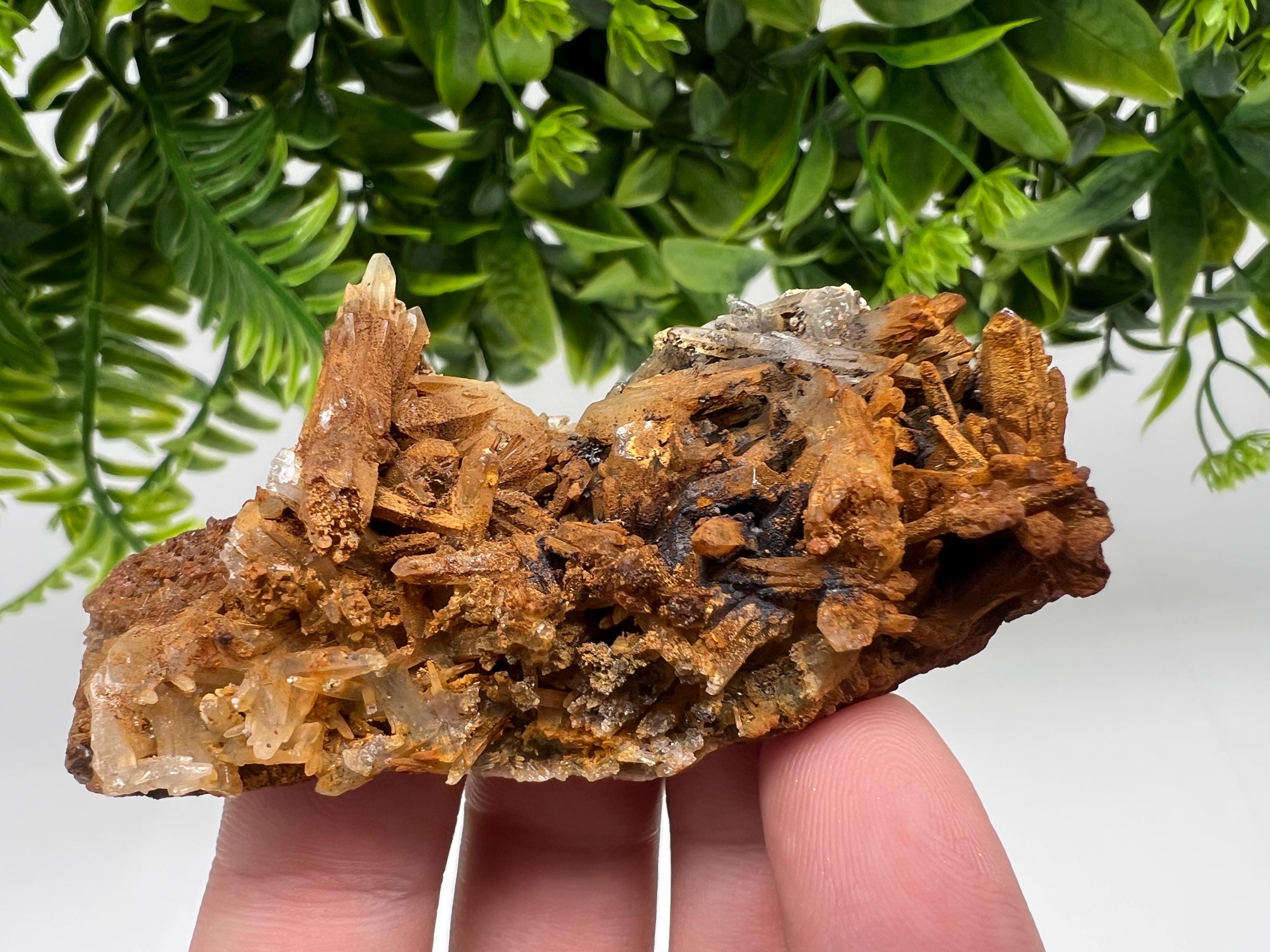 Bulgarian Quartz Specimen: Iron Oxide Limonite Mineral Collection