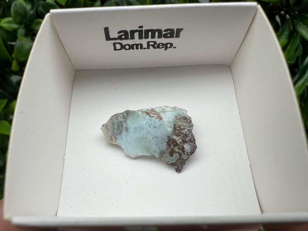 Rare Raw Larimar Specimen: Dominican Republic Crystal (25/15mm)