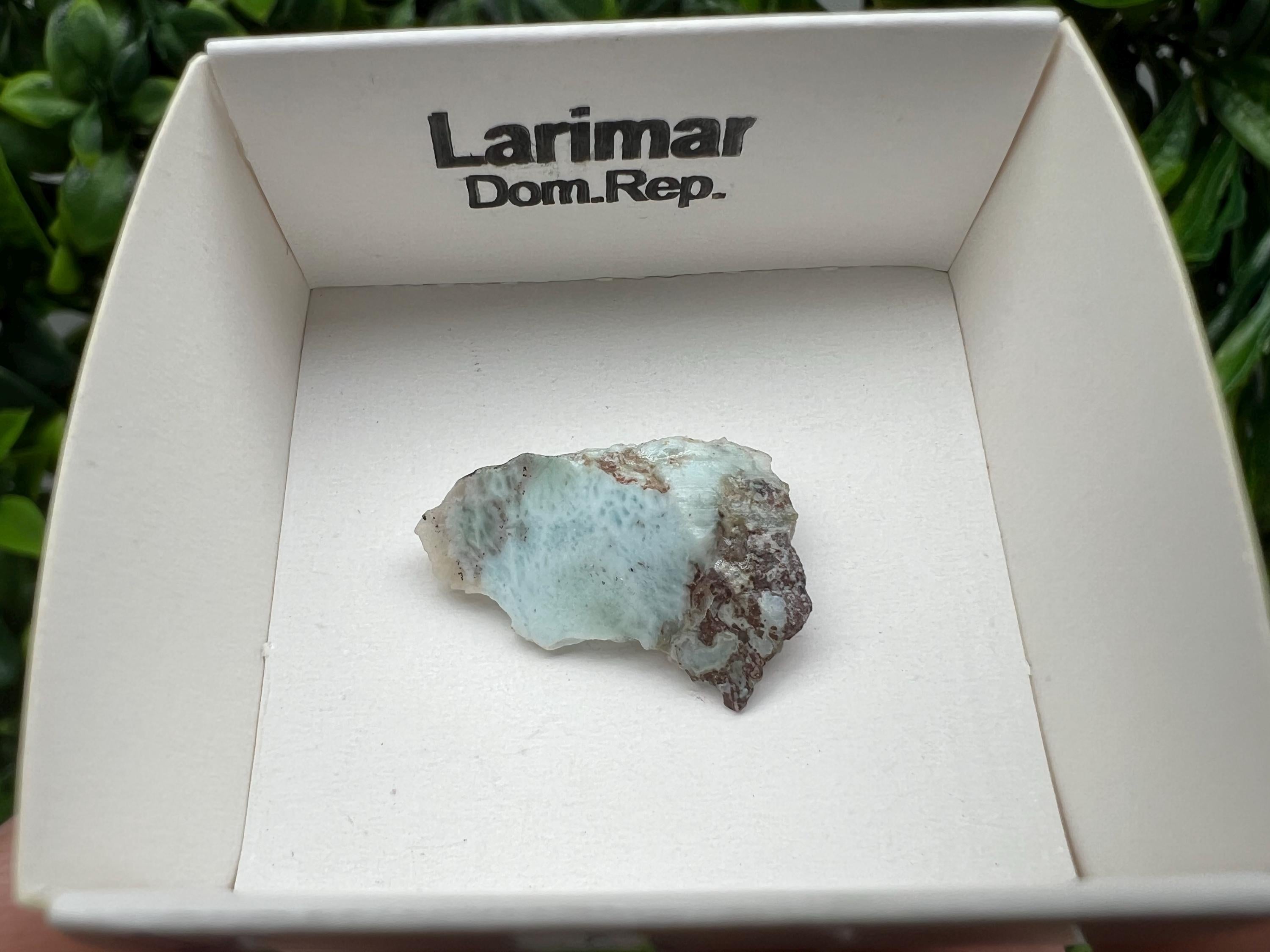 Rare Raw Larimar Specimen: Dominican Republic Crystal (25/15mm)