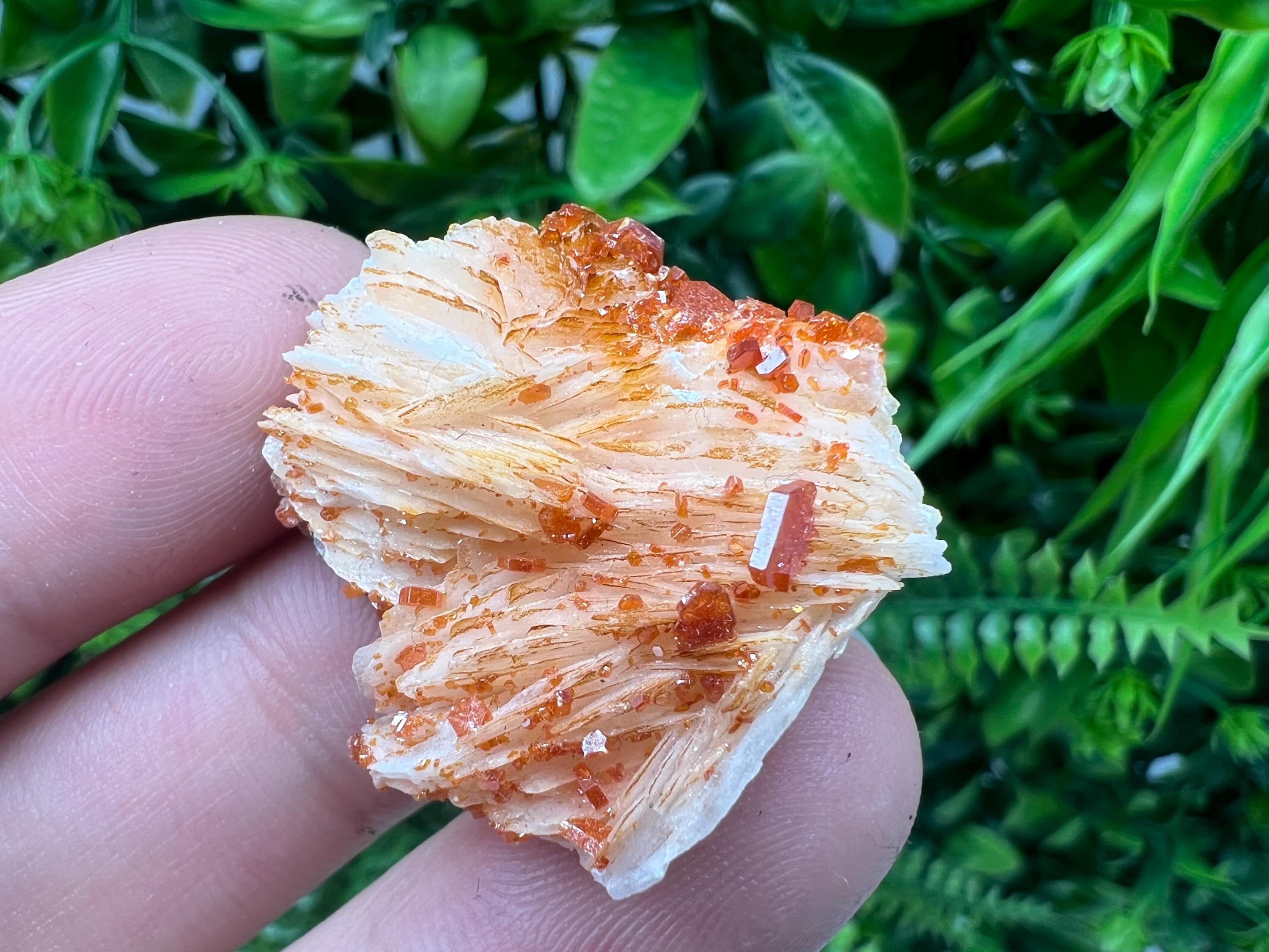 Red Vanadinite on Barite from Marocco,crystal minerals Speciment cluster Vanadinite crystal Vanadinite Geology Vanadinite cluster minerals