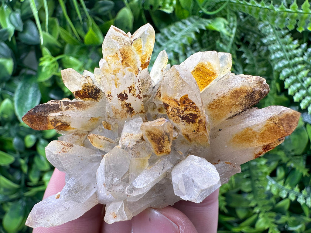 Limonite Coated Quartz Crystal - Natural Mineral Specimen